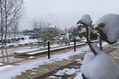 photo_2017-01-26_11-43-48