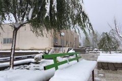 photo_2017-01-26_11-43-52