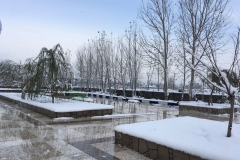 photo_2017-01-26_11-43-55