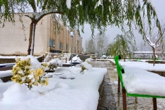 photo_2017-01-26_11-44-05